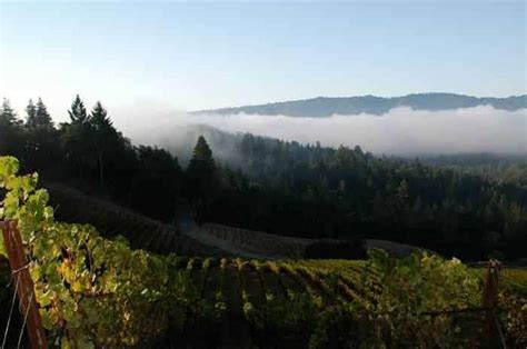 Santa Cruz Wine Country - California Winery Advisor