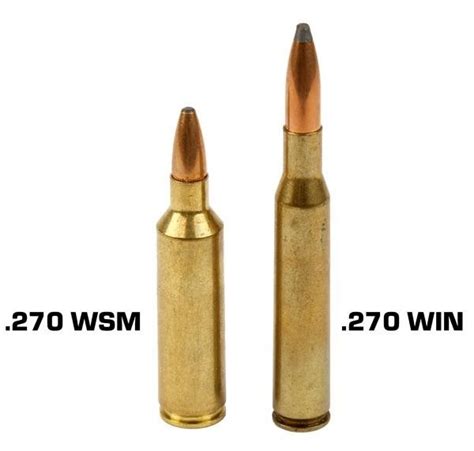 .270 Winchester Versus .270 WSM - Sporting Shooter