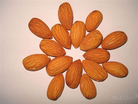 Hạt hạnh nhân (Almonds)