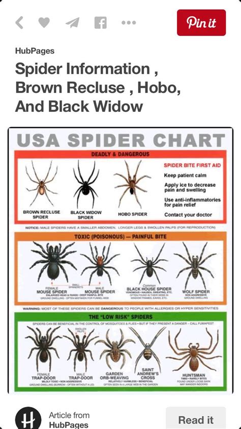 USA Spider Chart Survival Life, Wilderness Survival, Survival Skills ...