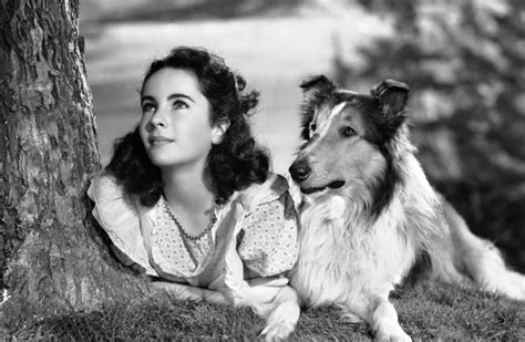 The 10 Most Famous Dogs In Hollywood History