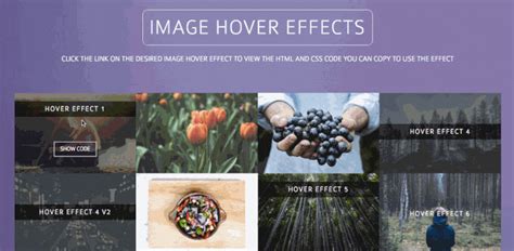 Css hover effects cursor - circlegasw