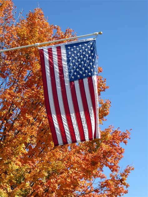 American Flag And Autumn Tree Free Stock Photo - Public Domain Pictures