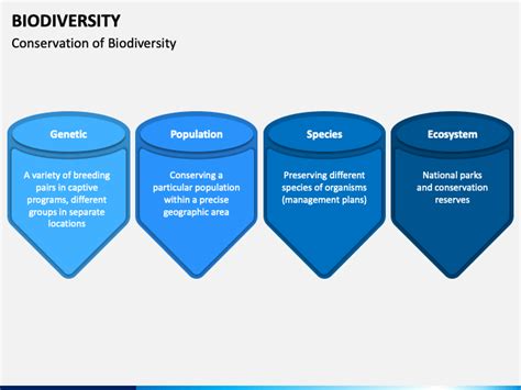 Biodiversity PowerPoint and Google Slides Template - PPT Slides