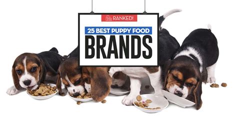 Top 25 Best Puppy Food Brands (Updated 2023 Price!)