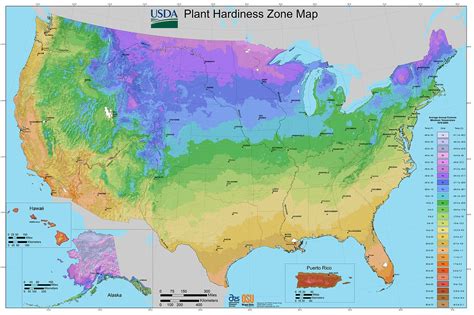 File:2012 USDA Plant Hardiness Zone Map (USA).jpg - Wikimedia Commons