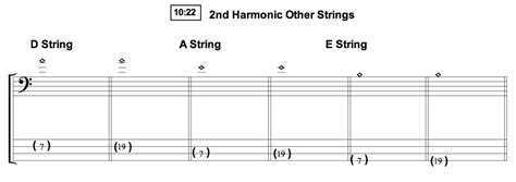 Harmonics for Bass – Natural Harmonics – TalkingBass