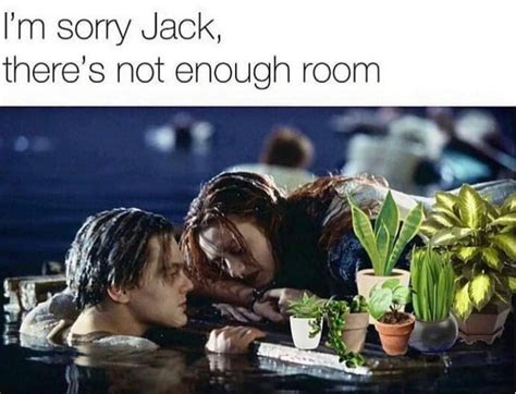 Still makes me laugh 😂 #titanic #jack #rose #films #movies #ninjamitton | Plant jokes, Funny ...