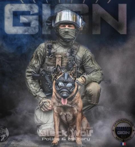 K9 Unit/ Working dogs/ on Instagram: “🇨🇵 (GIGN) French Special Forces ...