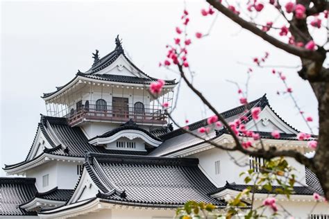 Toyama Castle Ruin Park - SNOW MONKEY RESORTS