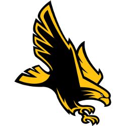 Southern Miss Golden Eagles Alternate Logo | SPORTS LOGO HISTORY