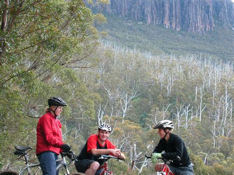 Wellington Park | Nature and wildlife | Discover Tasmania