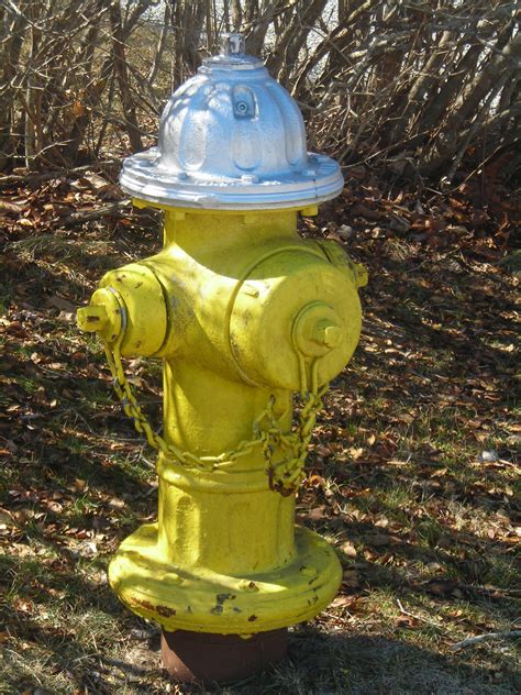 Yellow Fire Hydrant | Hydrant, Fire hydrant, Fire