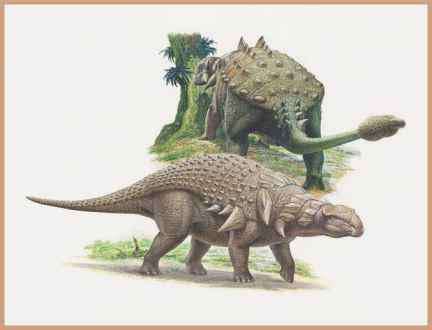 Ankylosauria traits and diversity - Prehistoric Earth - Fossil Hunters