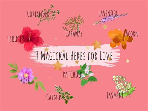 Here we present you with an easy guide to 9 magical herbs for love ...