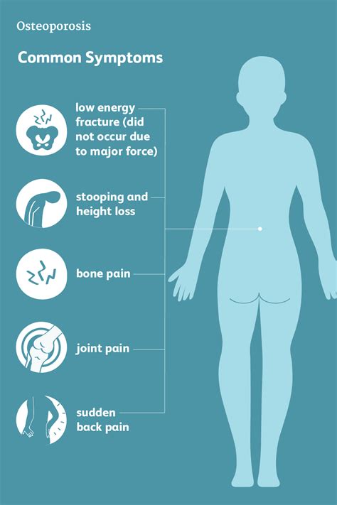 Osteoporosis: Symptoms, Causes, Diagnosis, and Treatment