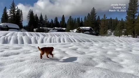 Rain Leaves Beautiful Patterns In Truckee Snow - Videos from The ...