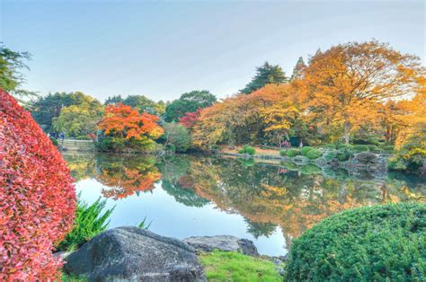 Autumn 2013: Shinjuku Gyoen National Garden – Lakbayer