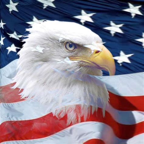 Free Pictures Of American Flag With Eagle - Happy Memorial Day Wallpapers ·① WallpaperTag / It ...