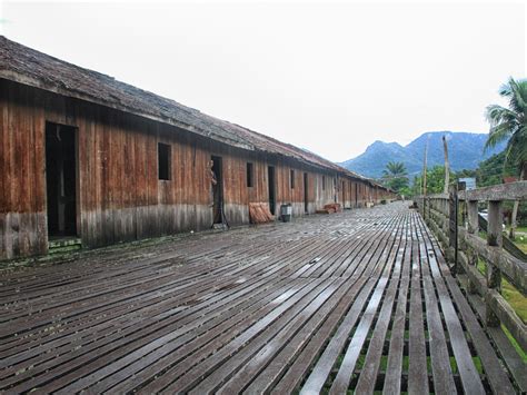 Rumah Betang, Jantung Tradisi dan Pusat Kebudayaan Dayak Kanayat'n - Indonesia Kaya