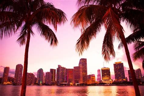 Skyline of Miami - Wallpaper