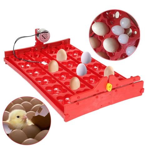 Incubator automatic egg turner tray rack 24 chicken eggs 96 bird eggs 1/240 rpm motor 110V and ...