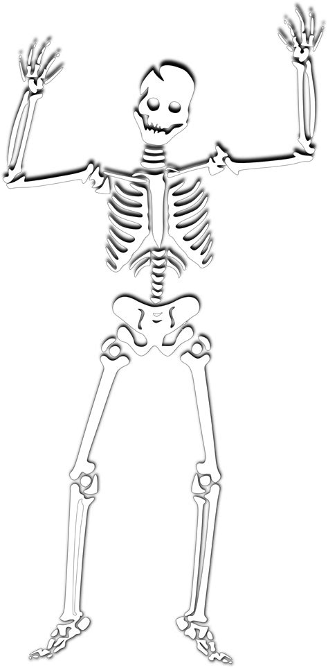 Sexy skeleton clipart – Clipartix