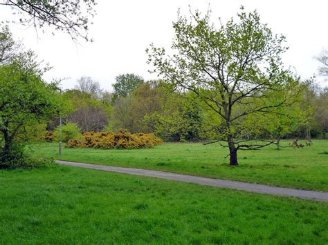 Tooting Bec Common © Robin Webster :: Geograph Britain and Ireland