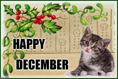 Happy December - Imgflip