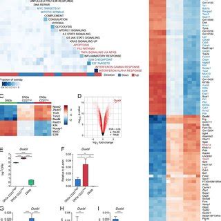 Transcriptome comparison reveals specific up-regulation of the... | Download Scientific Diagram