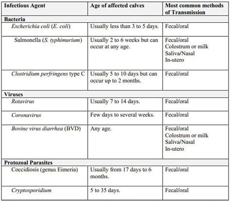 Calf Health Management - Engormix