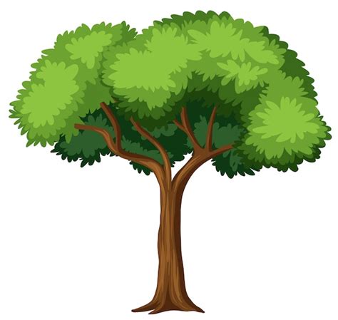 Tree Illustration Images - Free Download on Freepik