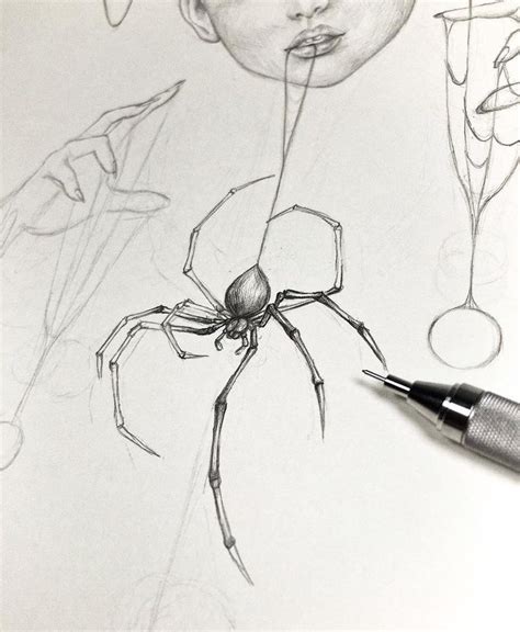 Pin by Plawadee on ꌃꀤꋪꀷꌚ ꌃꏂꏂꌚ ꌃꀎꁅꌚ ꓄ꂦ ꒒ꂦ꒦ꏂ | Spider drawing, Spider art, Spider