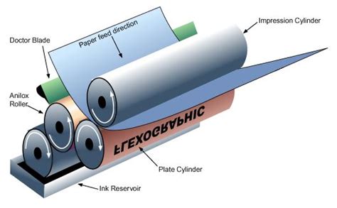 Flexographic Printing | Gravure Printing