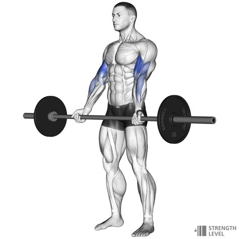 Barbell Curl How To - Strength Level