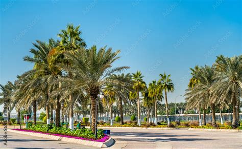 Corniche Promenade Park in Doha, Qatar Stock Photo | Adobe Stock