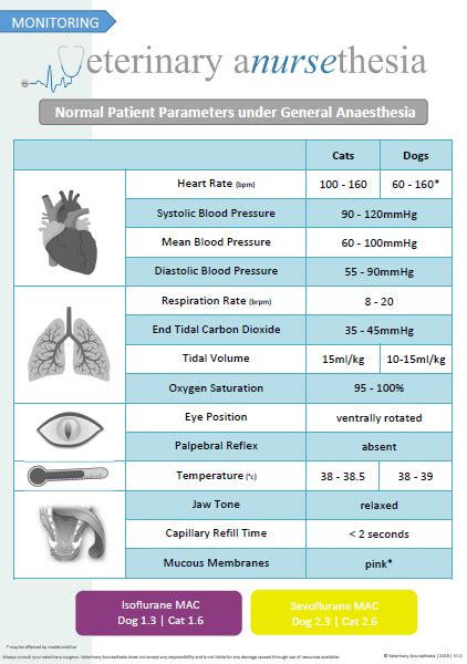 Dog Blood Pressure Chart - Chart Examples