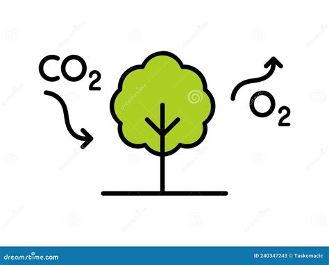 Carbon Cycle. Tree Absorbs CO2 and Releases O2. Photosynthesis Process Diagram. Stock Vector ...