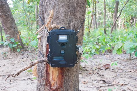 E-eye To Be Brought To All Sanctuaries To Keep An Eye On the Tiger ...