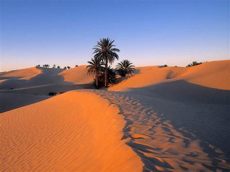 Travel Sahara Desert 2 Hd Wallpapers - Sahara Of North Africa - 1920x1440 Wallpaper - teahub.io