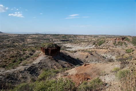 Best Olduvai Gorge Stock Photos, Pictures & Royalty-Free Images - iStock