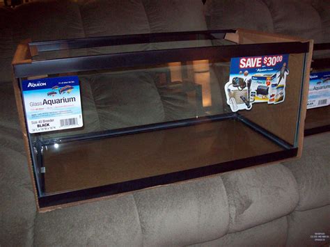 Dimensions Of 40 Gallon Breeder Aquarium - Aquarium Views