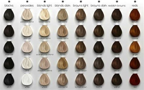 Ash brown with Scandinavian Blond or ash blond ombre | Brown hair color ...