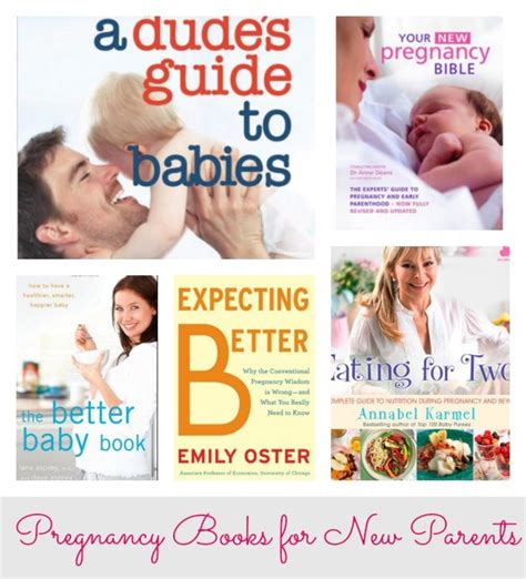 The New Pregnancy Bible: The Experts Guide to Pregnancy and Early Childhood Archives ...