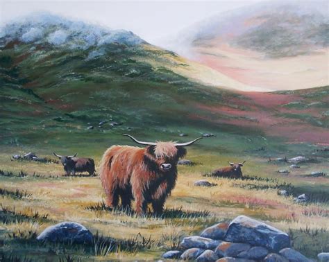 Scottish Highland Cattle | Highland cattle, Scottish highland cow, Cow ...