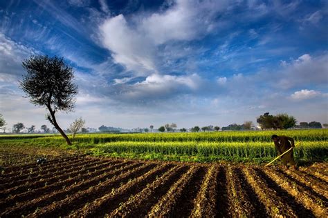 Tarım Siteniz: Hd Ziraat Resimleri (Hd Agriculture Photos)