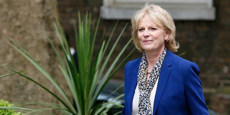 Business Insider talks to Tory MP Anna Soubry about Brexit - Business Insider