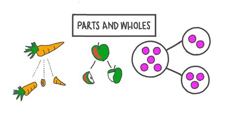 Lesson Video: Parts and Wholes | Nagwa