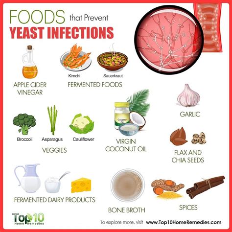 Diet To Help Cure Yeast Infection - DIETOSA