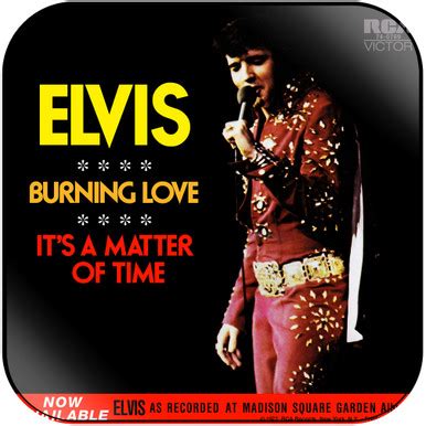 Elvis Presley Burning Love Album Cover Sticker Album Cover Sticker